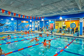 Goldfish Swim School
